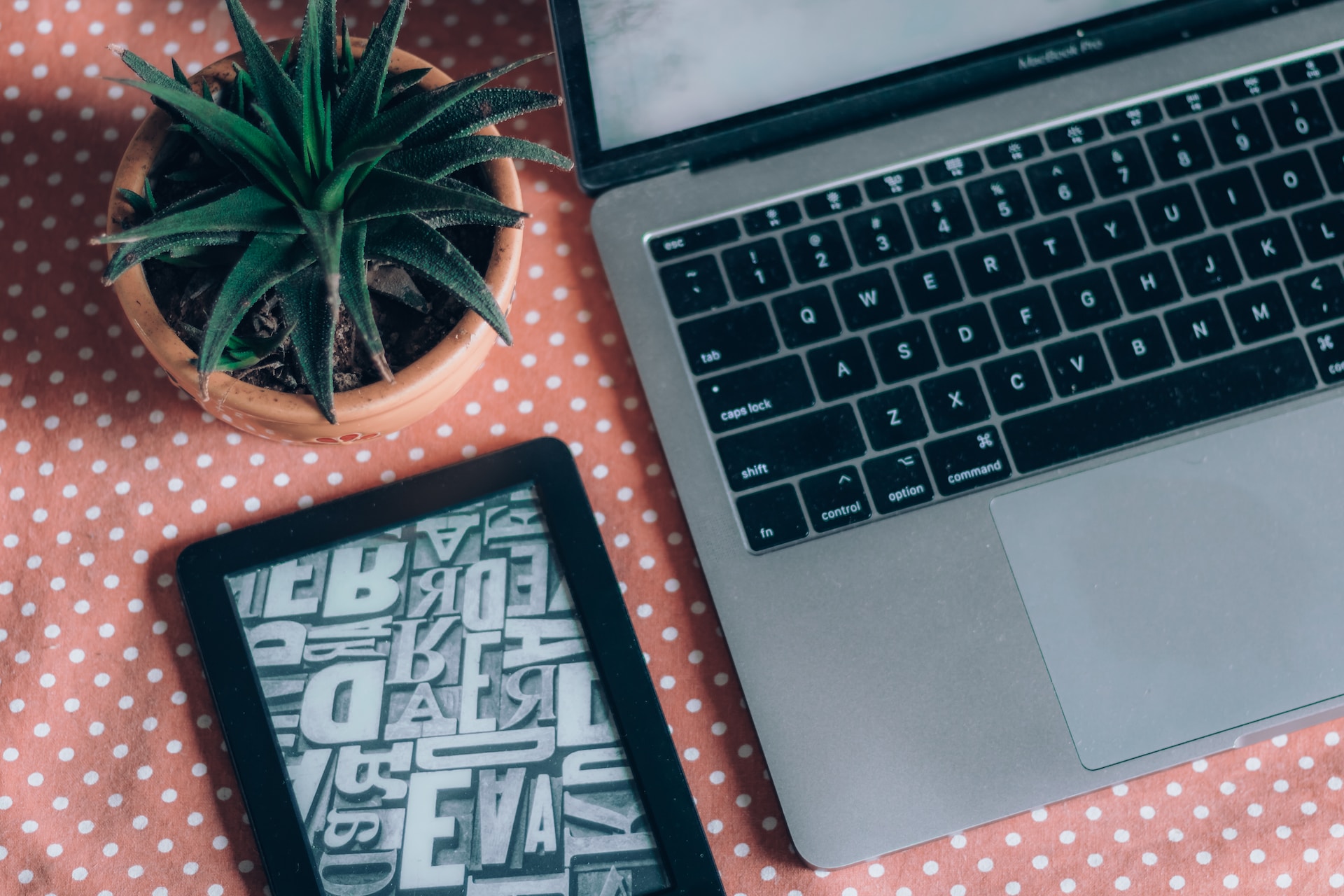 15 Applications indispensables pour votre compte d'hébergement cPanel